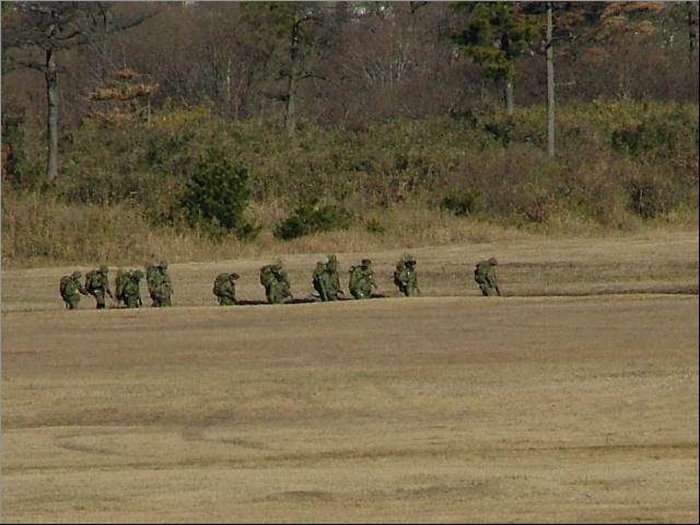 �^�񒆂�ւ�̑����A�ΐ�Ԍn�����Ă܂���ˁH