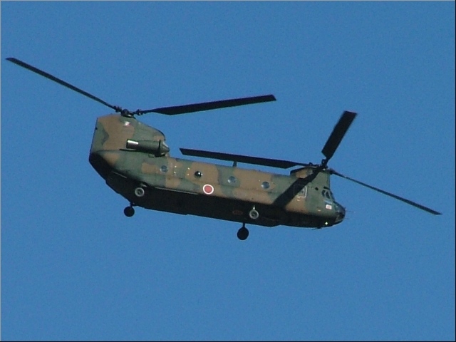 �R�b�N�s�b�g�t�߂ɏ��������̊ۂ��E�E�E