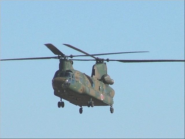 �h�q�Ȃ̗v�l���悹���w��