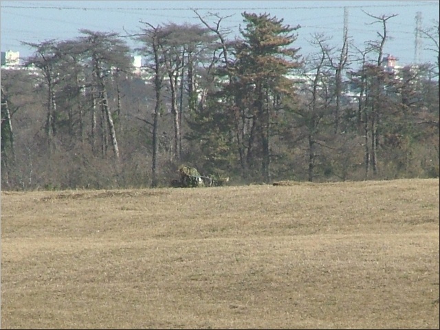 ��������Ԃ��甭�i�������