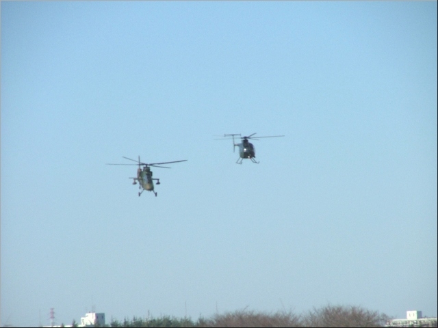 �܂��s���{�P�E�E�E