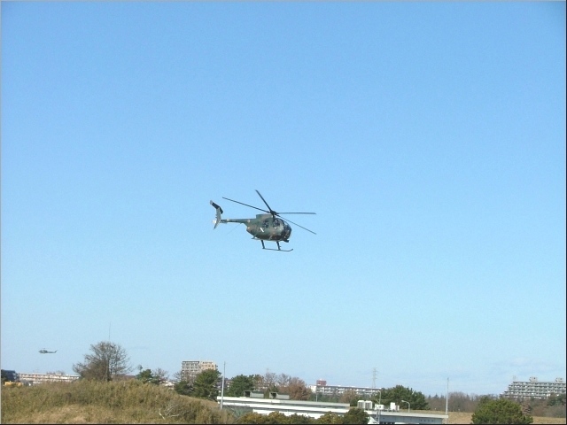 �ڗ����Ȃ������^�}�S