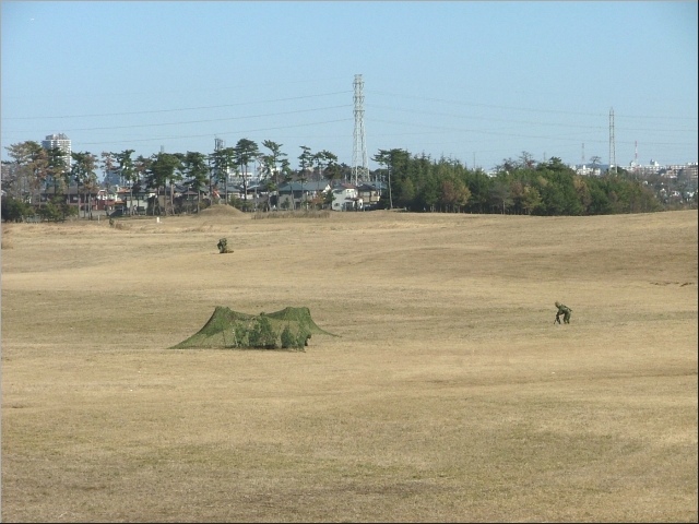 �͂ꑐ�̒����Ɩڗ��E�E�E