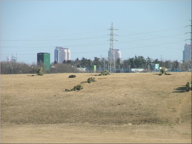 �G�������Ȃ��ł��E�E�E