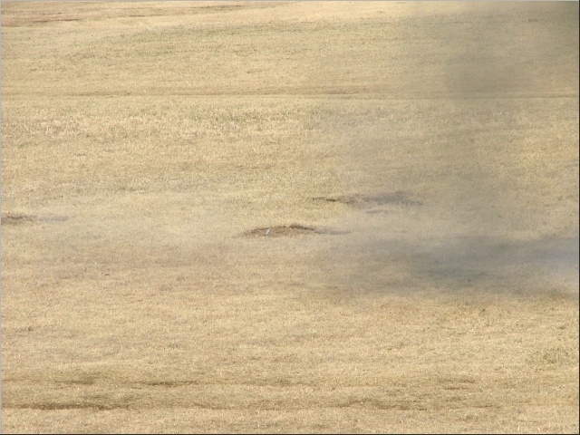 �s���H�ꔭ�c���ĂȂ��H