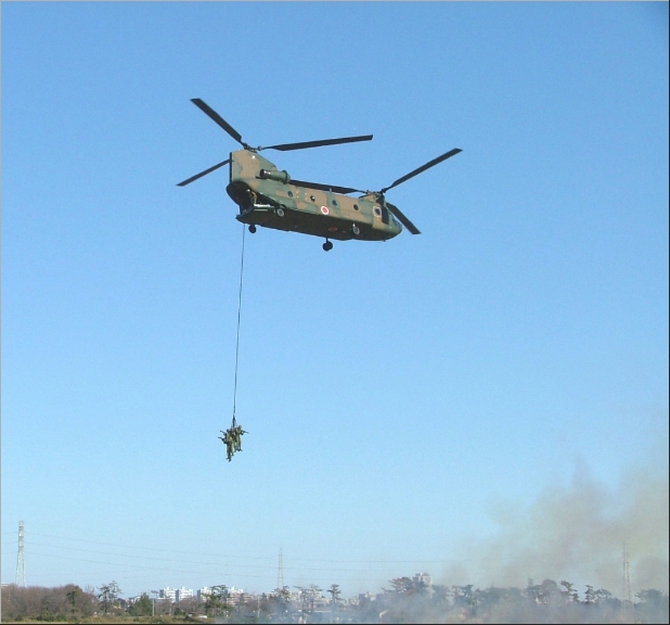 ���������q���B