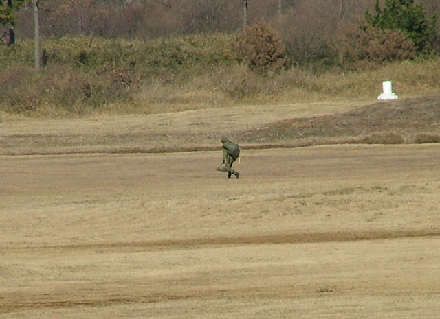 �d�����E�E�E