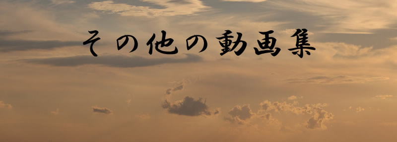 ���̑�����W